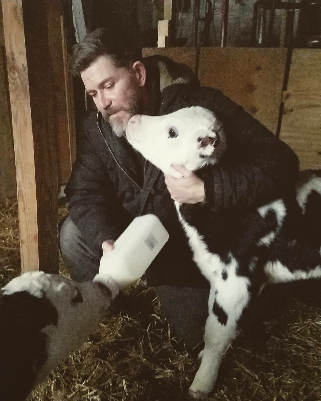 Companion animal at the sanctuary