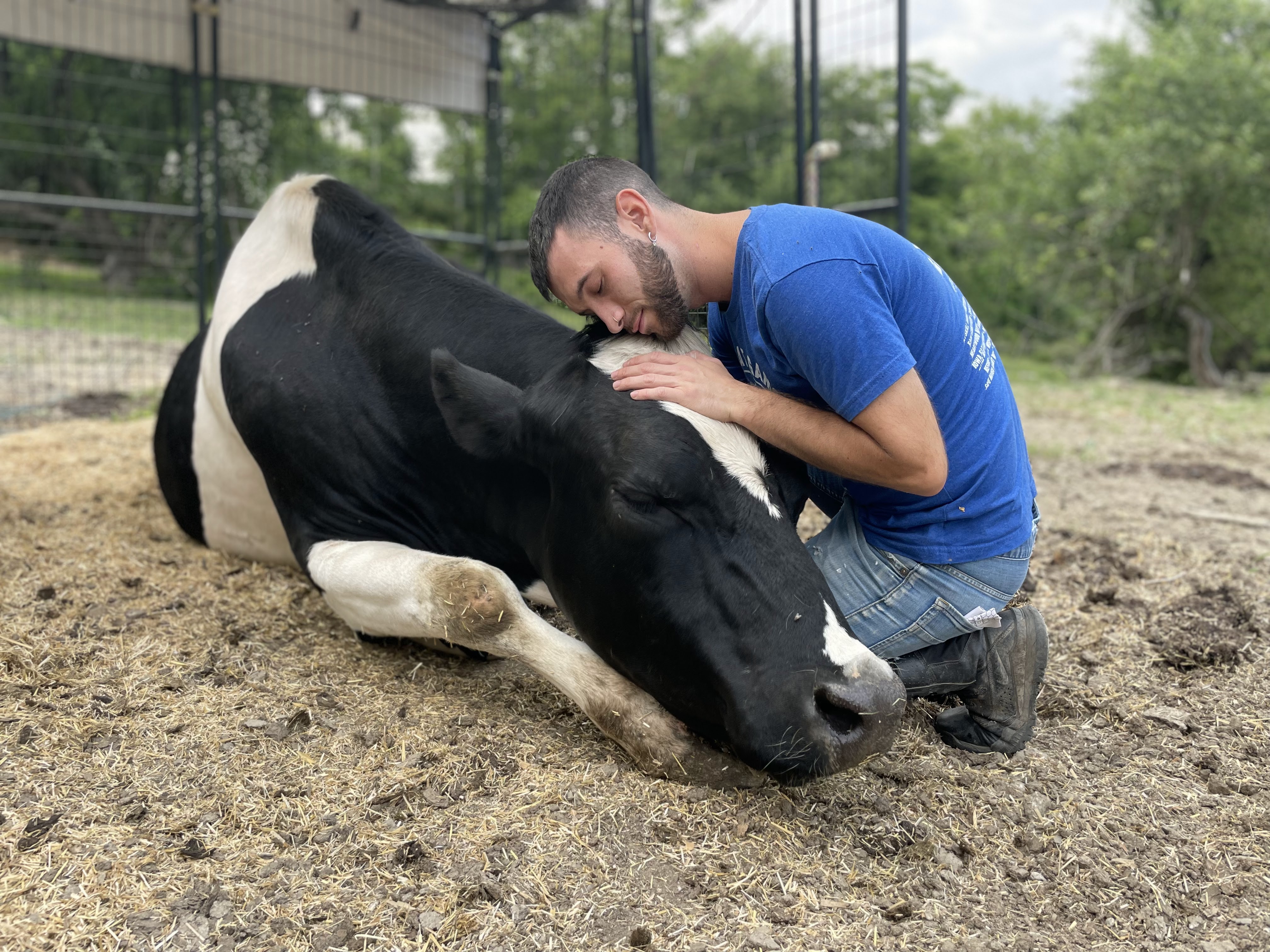 Sanctuary animal portrait